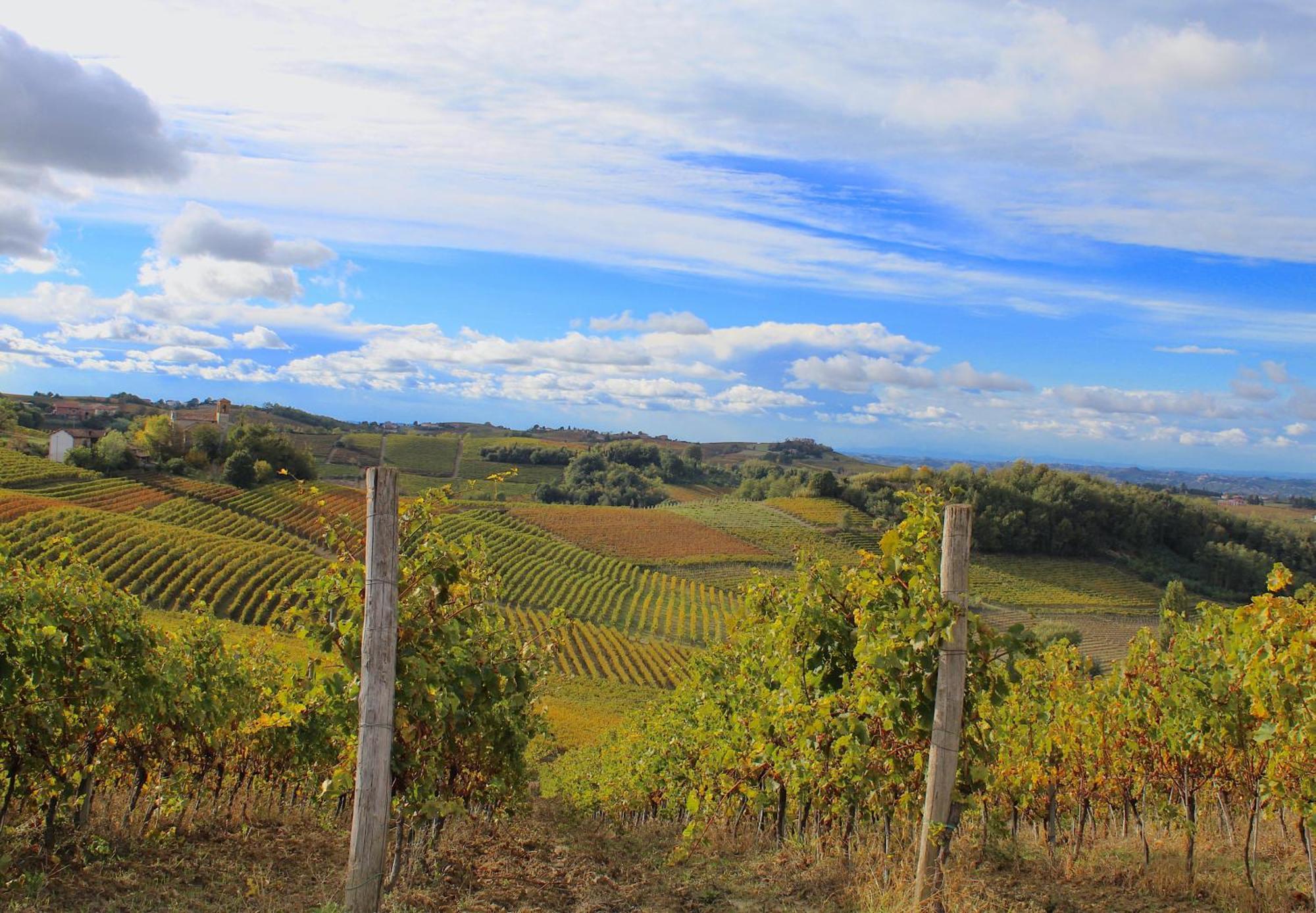 Amazing Langhe And Monferrato | House With Garden Villa Calamandrana Eksteriør bilde
